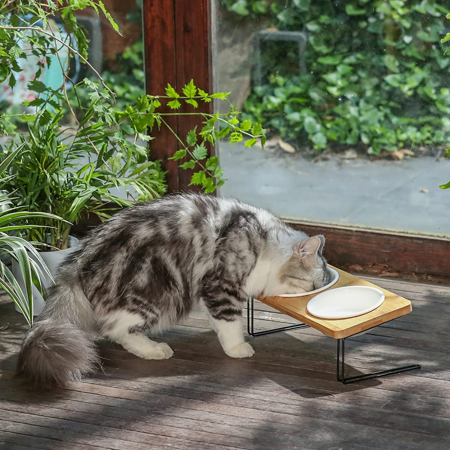 Elevated Ceramic Cat Bowls with 15° Tilted Design, Bamboo Stand Feeder Set for Cats and Small Dogs