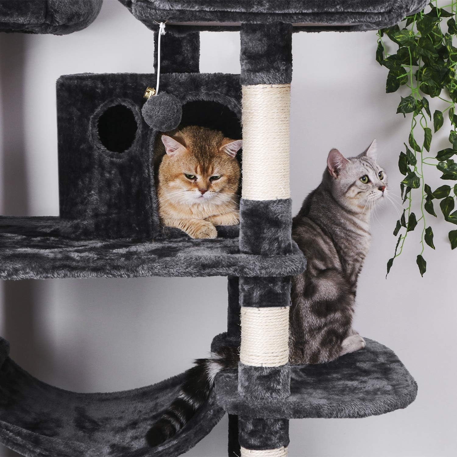 Spacious Cat Tree for Large Breeds