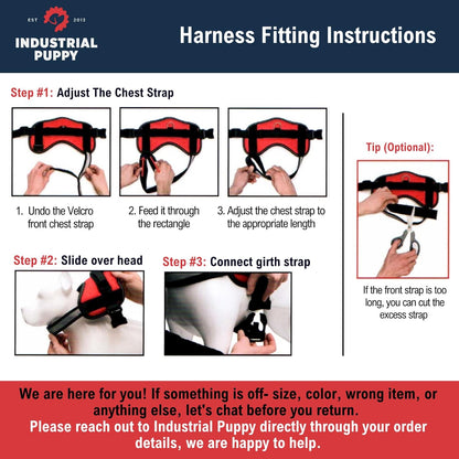 Professional Service Dog Vest and Leash Set with Adjustable Hook and Loop Straps - Available in XXS to XXL - Features Reflective Patch and Comfortable Mesh Design