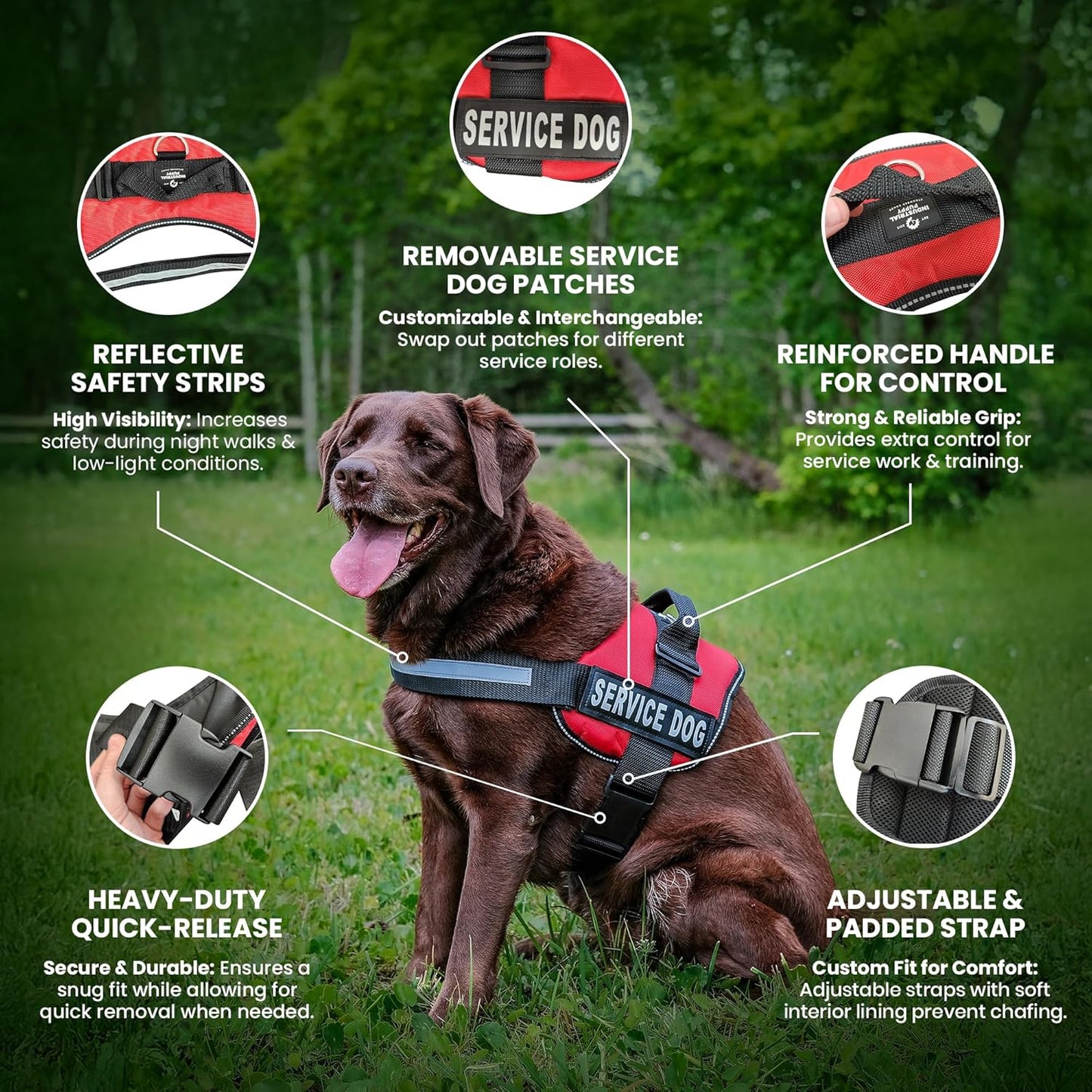 Professional Service Dog Vest and Leash Set with Adjustable Hook and Loop Straps - Available in XXS to XXL - Features Reflective Patch and Comfortable Mesh Design
