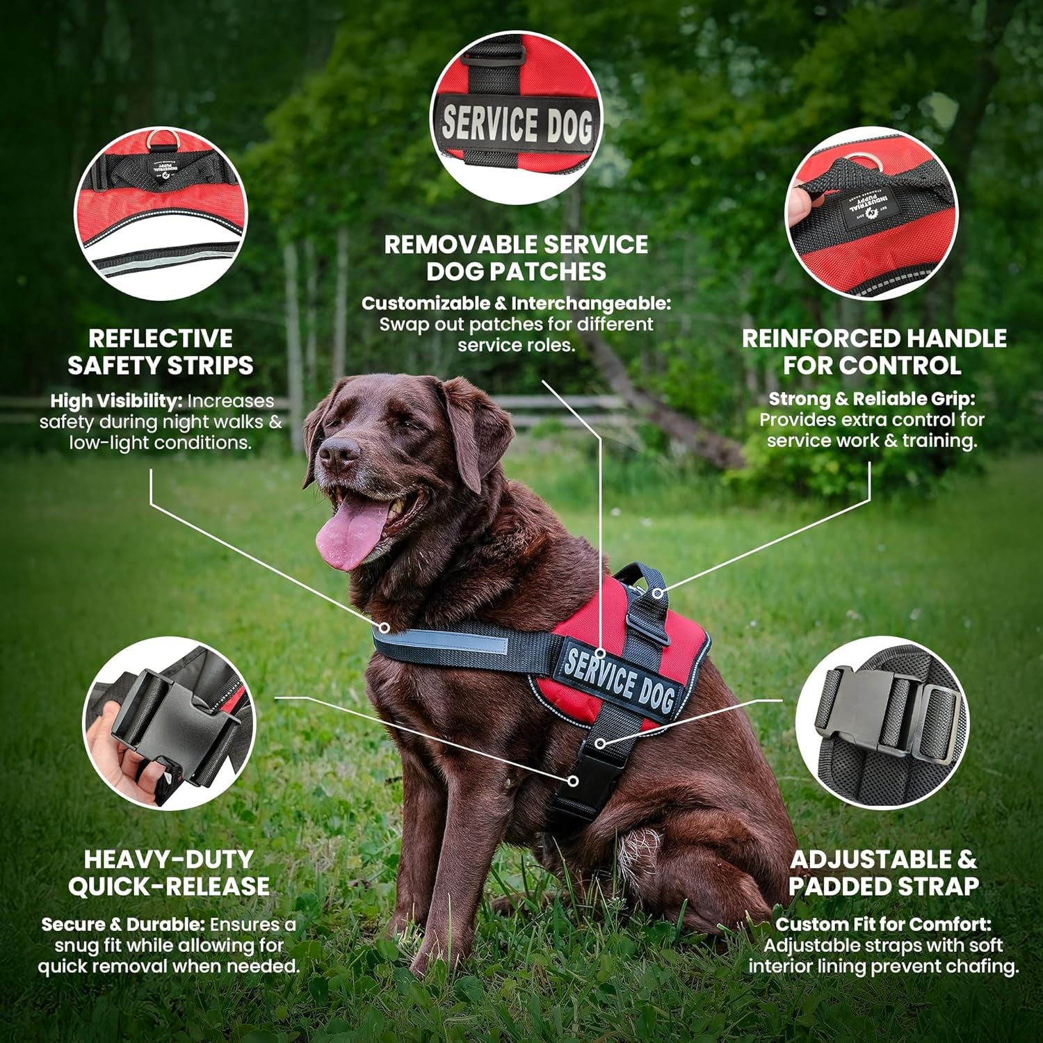 Professional Service Dog Vest and Leash Set with Adjustable Hook and Loop Straps - Available in XXS to XXL - Features Reflective Patch and Comfortable Mesh Design