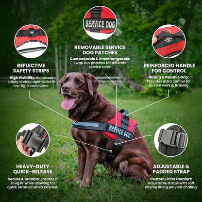Professional Service Dog Vest and Leash Set with Adjustable Hook and Loop Straps - Available in XXS to XXL - Features Reflective Patch and Comfortable Mesh Design
