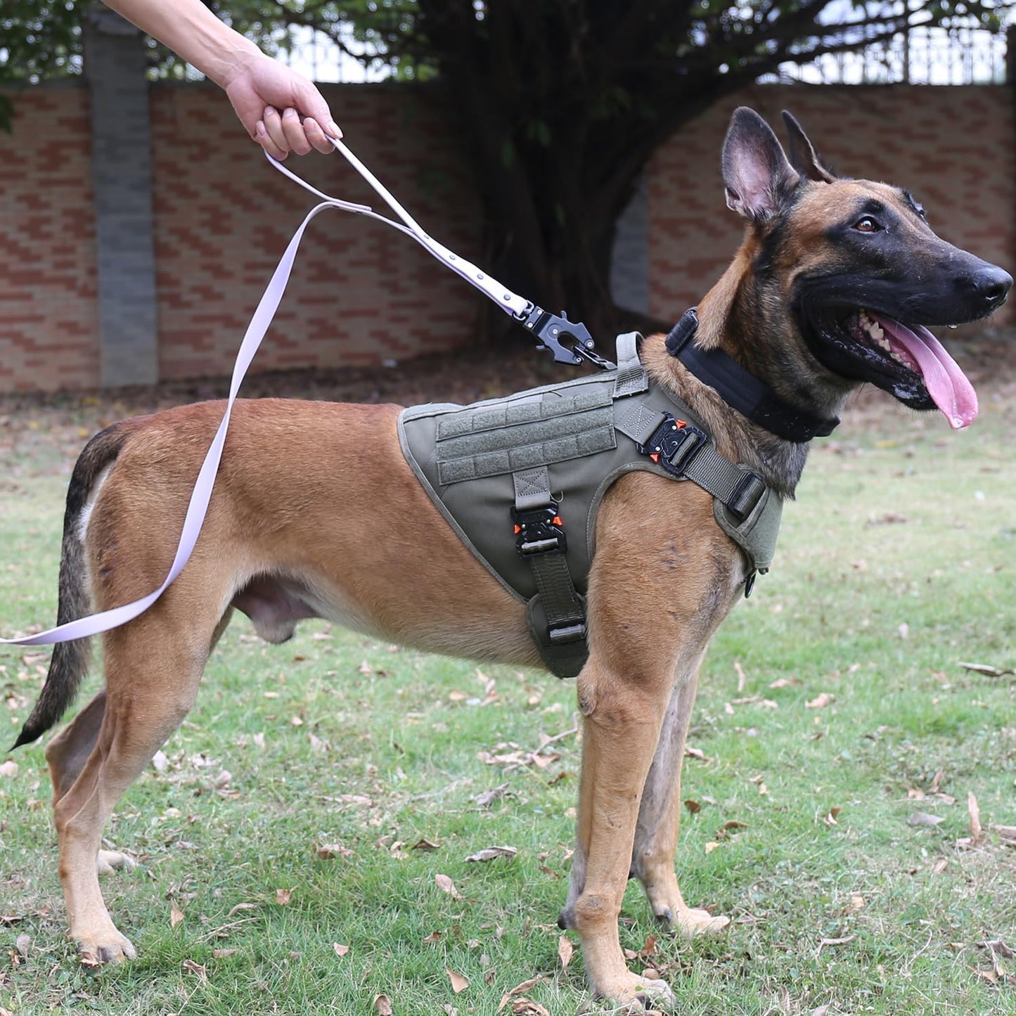 Professional Tactical Dog Harness with 4X Metal Buckles, MOLLE K9 Vest for Working Dogs, No-Pull Front Clip, Adjustable Large Dog Harness (Size L: 28"-35" Chest), Green