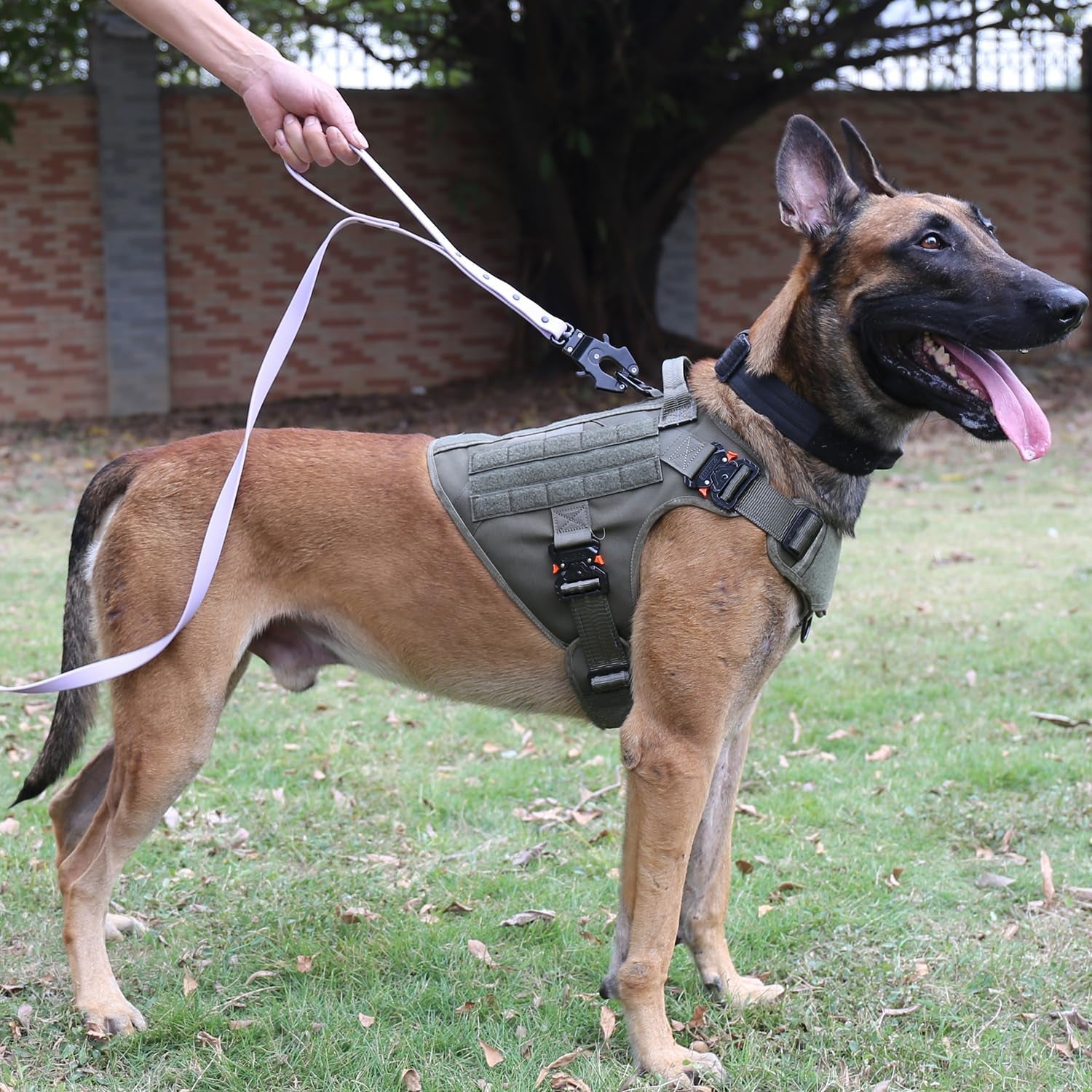Professional Tactical Dog Harness with 4X Metal Buckles, MOLLE K9 Vest for Working Dogs, No-Pull Front Clip, Adjustable Large Dog Harness (Size L: 28"-35" Chest), Green