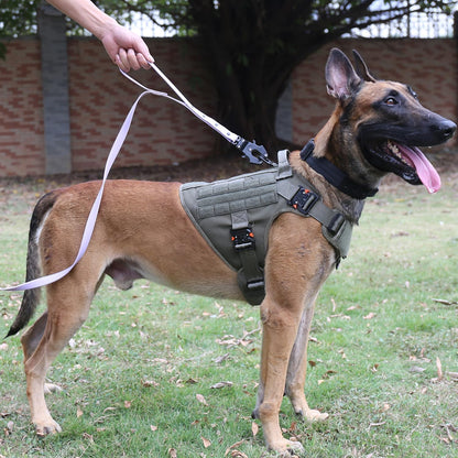 Professional Tactical Dog Harness with 4X Metal Buckles, MOLLE K9 Vest for Working Dogs, No-Pull Front Clip, Adjustable Large Dog Harness (Size L: 28"-35" Chest), Green
