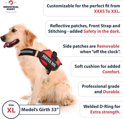 Professional Service Dog Vest and Leash Set with Adjustable Hook and Loop Straps - Available in XXS to XXL - Features Reflective Patch and Comfortable Mesh Design