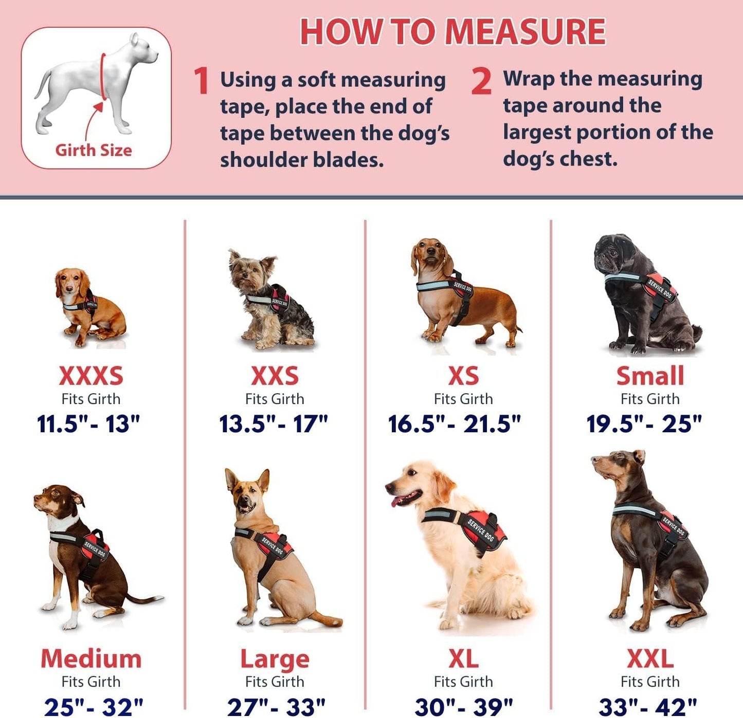 Professional Service Dog Vest and Leash Set with Adjustable Hook and Loop Straps - Available in XXS to XXL - Features Reflective Patch and Comfortable Mesh Design