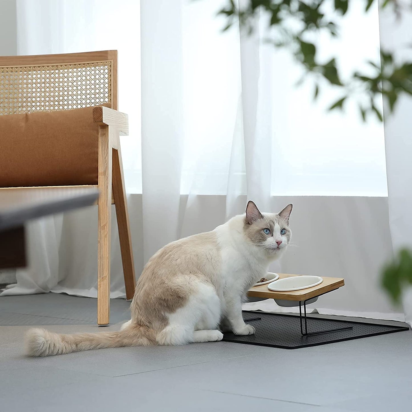Elevated Ceramic Cat Bowls with 15° Tilted Design, Bamboo Stand Feeder Set for Cats and Small Dogs