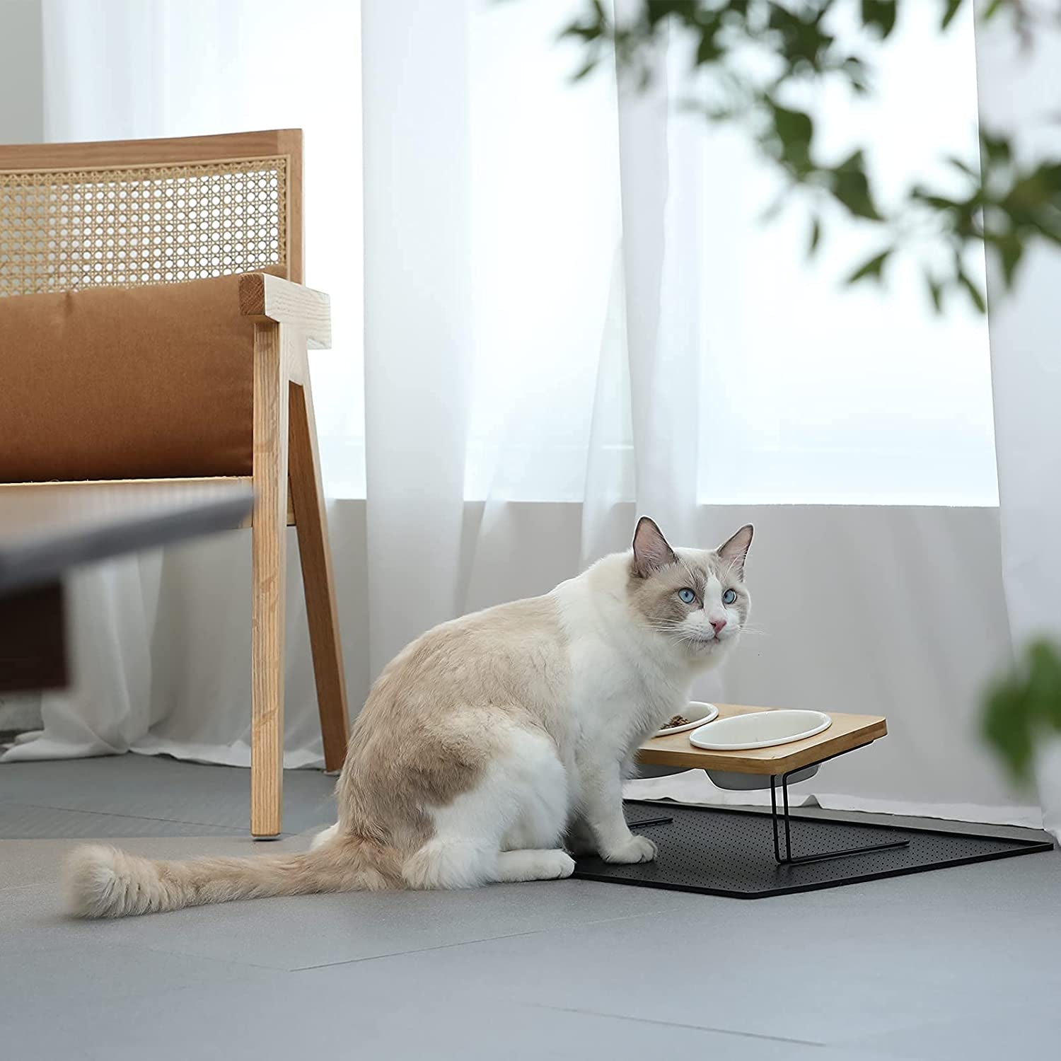 Elevated Ceramic Cat Bowls with 15° Tilted Design, Bamboo Stand Feeder Set for Cats and Small Dogs