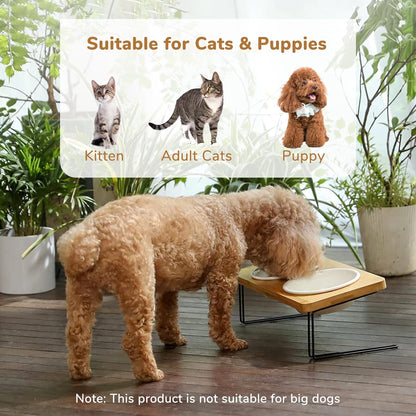 Elevated Ceramic Cat Bowls with 15° Tilted Design, Bamboo Stand Feeder Set for Cats and Small Dogs
