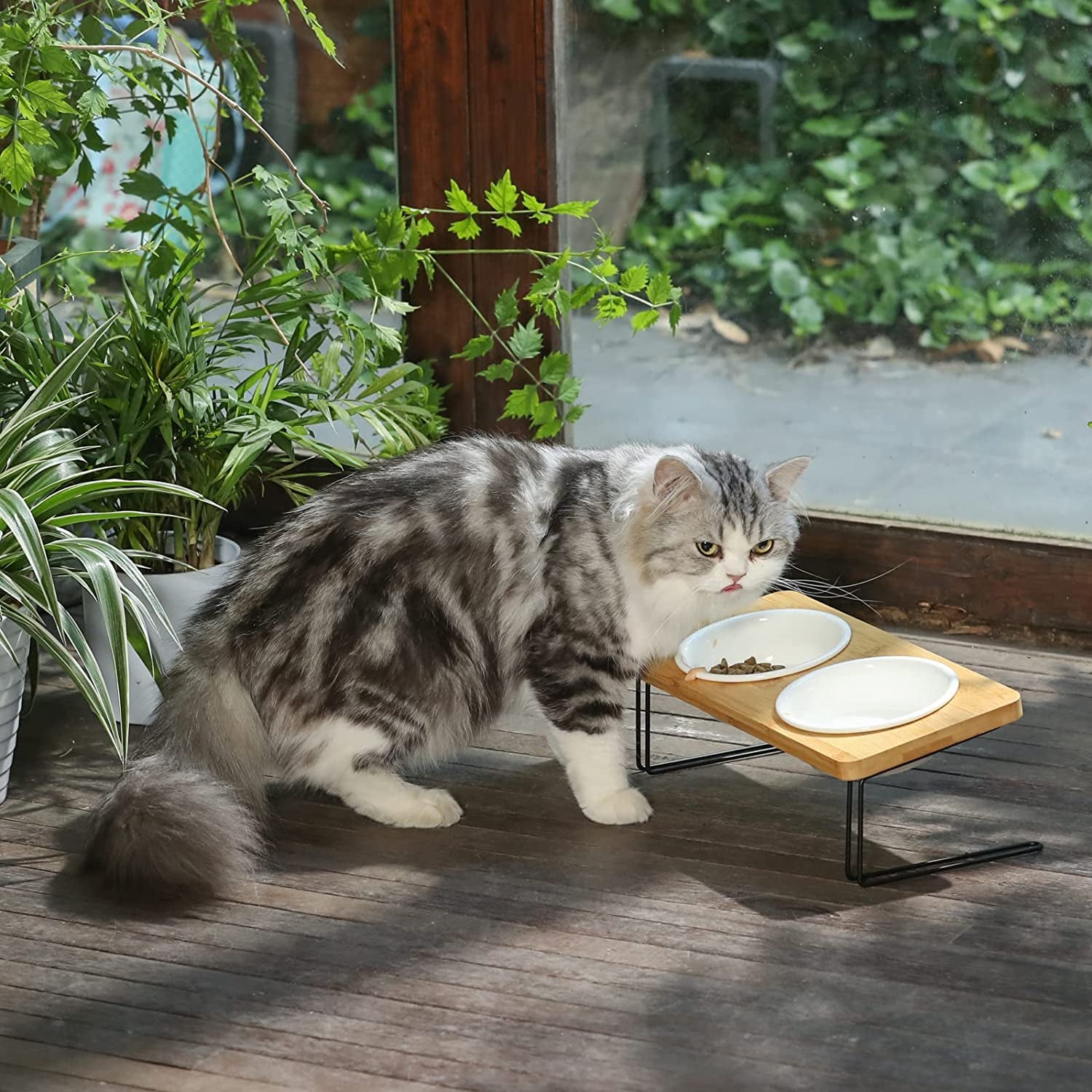 Elevated Ceramic Cat Bowls with 15° Tilted Design, Bamboo Stand Feeder Set for Cats and Small Dogs