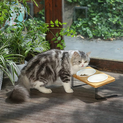 Elevated Ceramic Cat Bowls with 15° Tilted Design, Bamboo Stand Feeder Set for Cats and Small Dogs